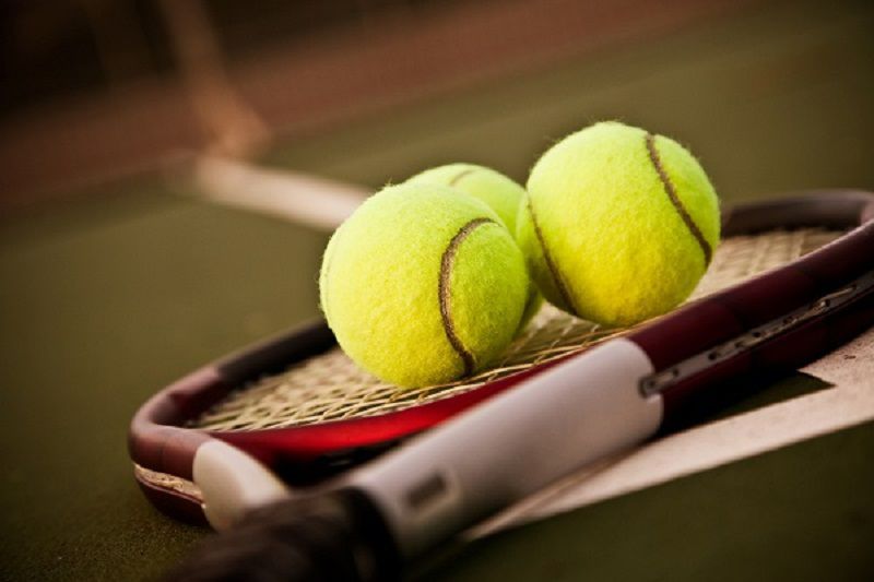 Cá cược quần vợt có đặc điểm gì