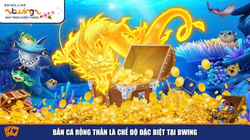 Bắn Cá Bwing – Game Giải Trí Đỉnh Cao Với Thưởng Cực Hấp Dẫn 3 Đây là trò chơi dành cho những ai thích thử thách và muốn săn cá với tỷ lệ thưởng cao