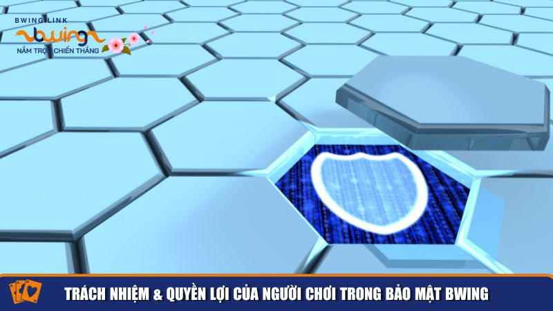 Chính Sách Bảo Mật BWing – Đảm Bảo An Toàn Tuyệt Đối 2 Quy định về quyền và trách nhiệm cho người chơi